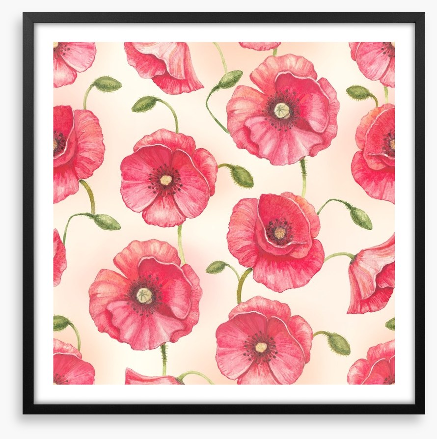 Poppy flowers