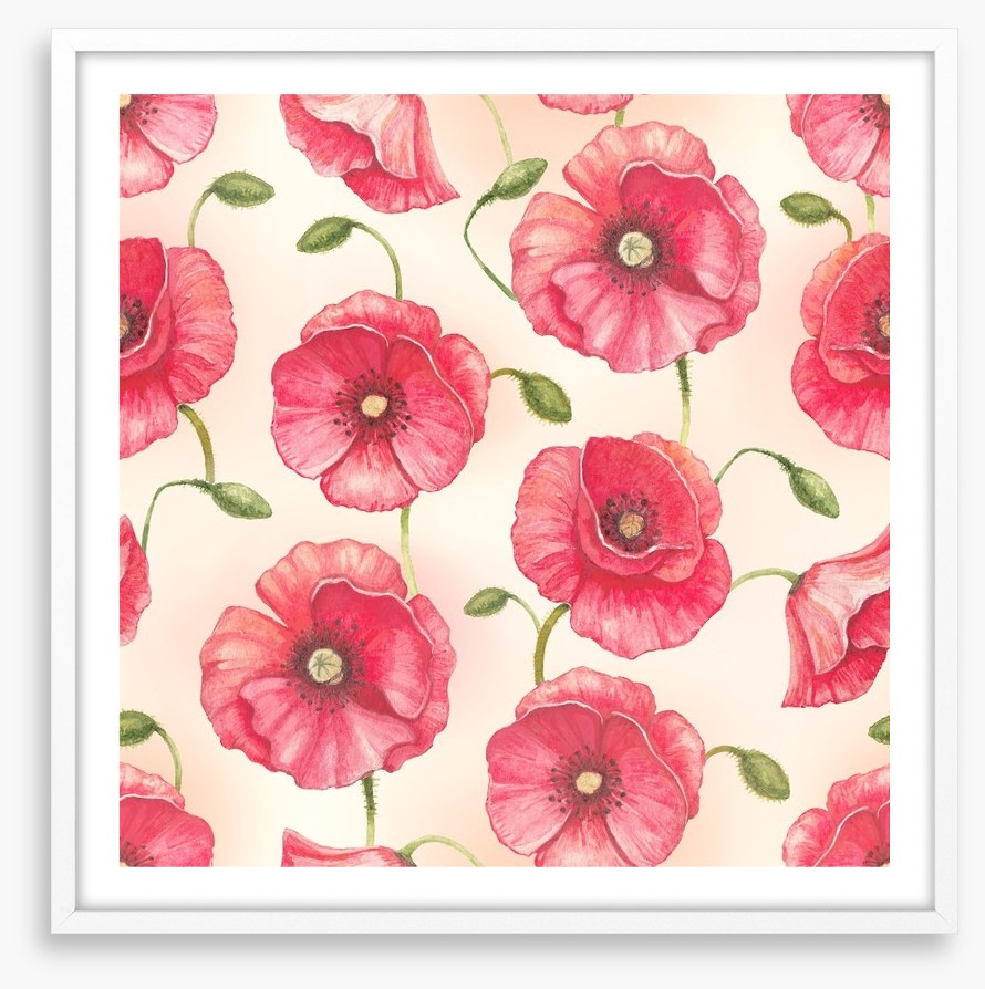 Poppy flowers