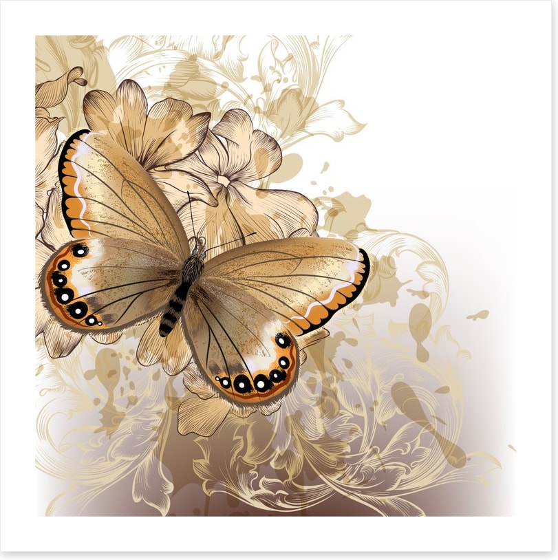 Butterfly beauty