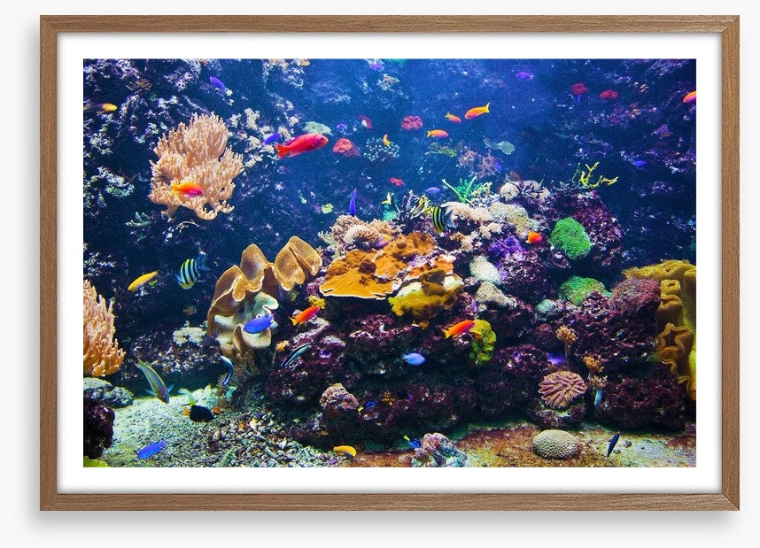 Underwater