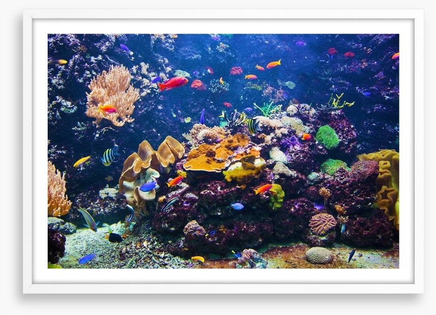 Underwater