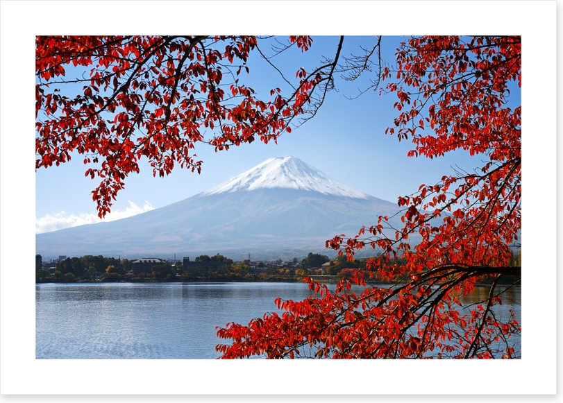 Mt. Fuji in the Autumn