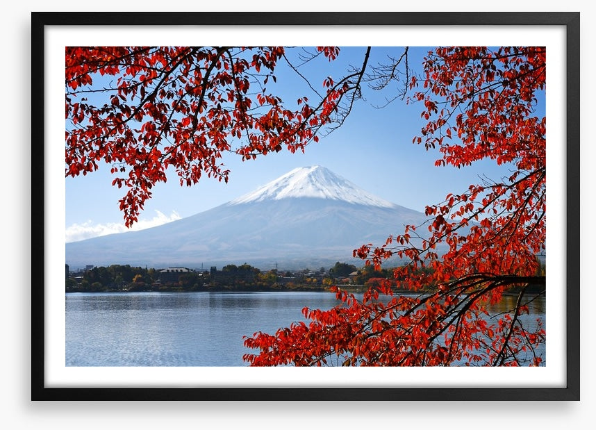 Mt. Fuji in the Autumn