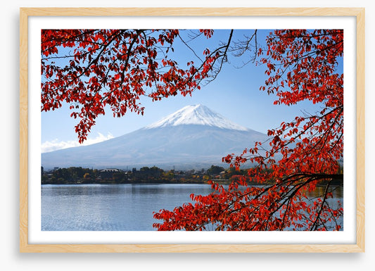 Mt. Fuji in the Autumn