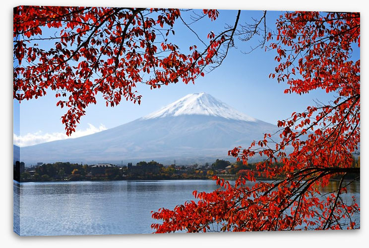 Mt. Fuji in the Autumn