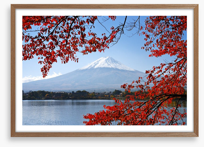 Mt. Fuji in the Autumn