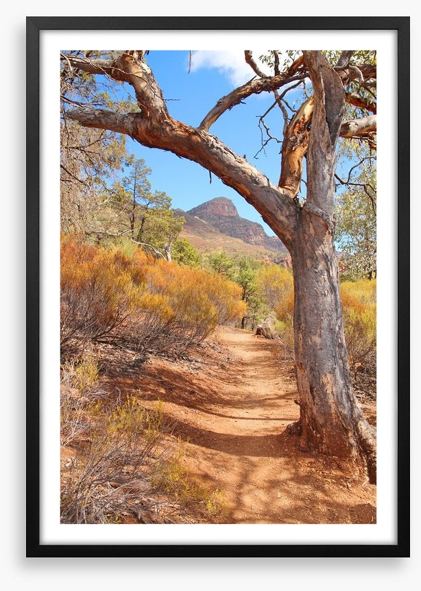 Path to the Flinders Ranges