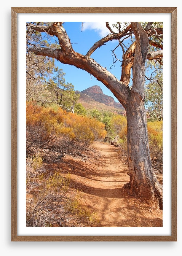 Path to the Flinders Ranges