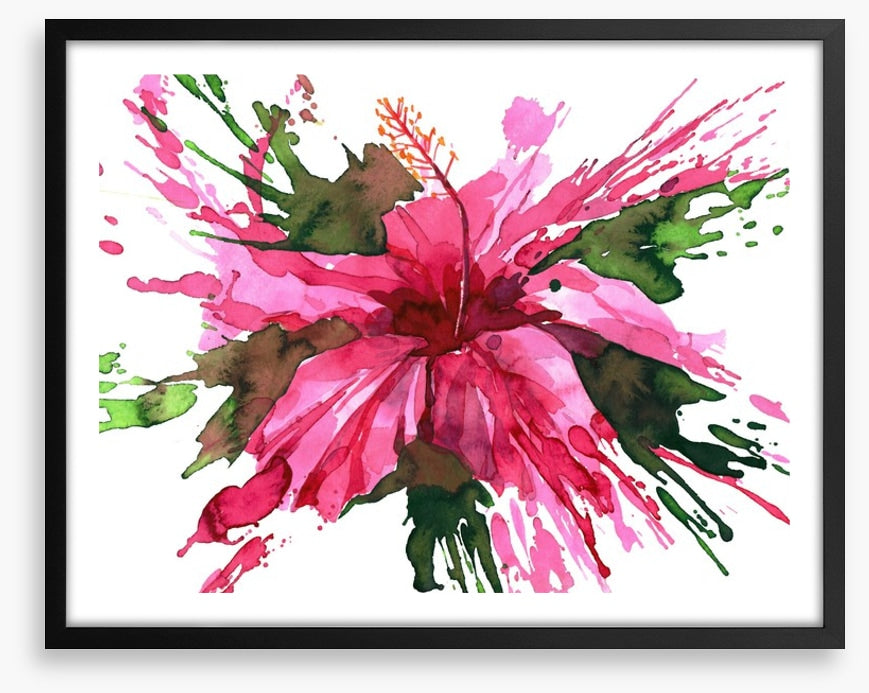 Hibiscus flower splash