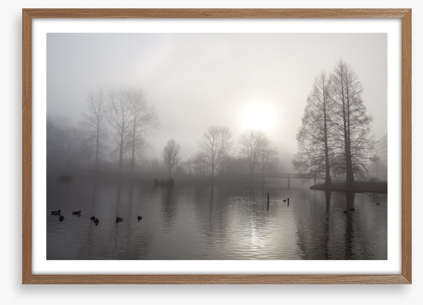 Silhouettes in the morning fog