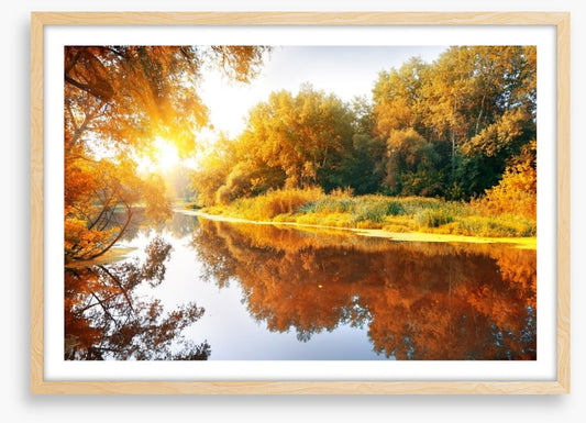 Autumn forest reflections