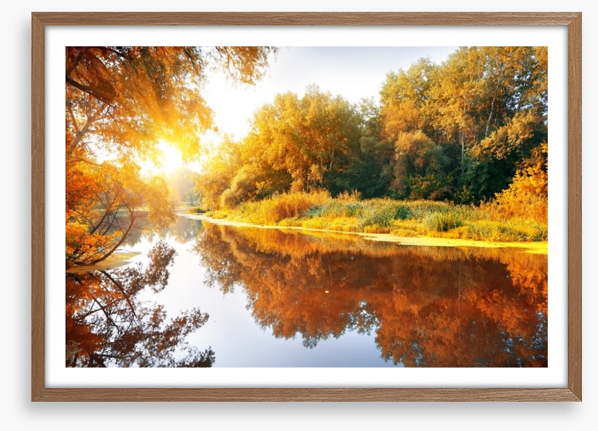 Autumn forest reflections
