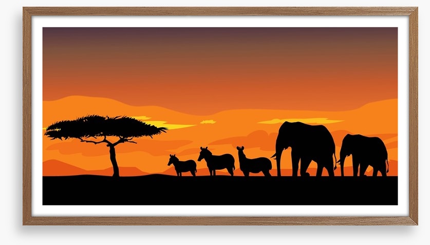 African safari at sunset