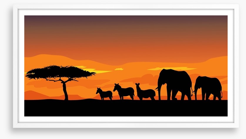 African safari at sunset