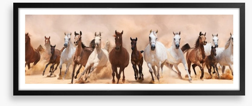 Galloping panoramic