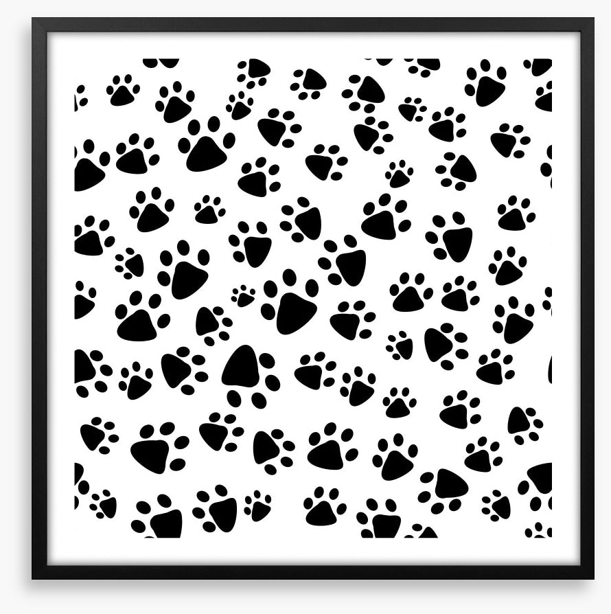 Patter of tiny paw prints