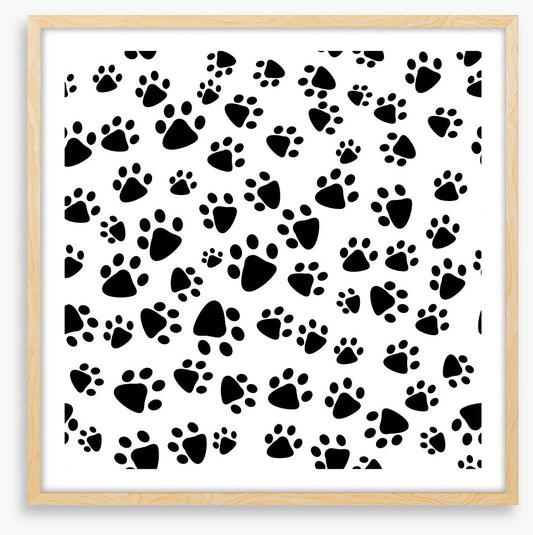 Patter of tiny paw prints