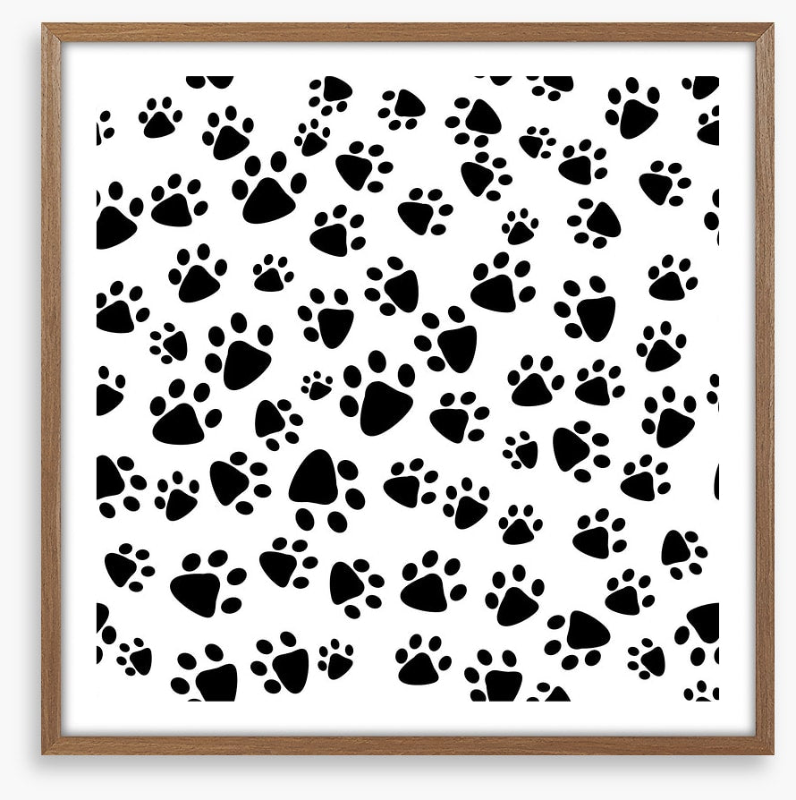 Patter of tiny paw prints