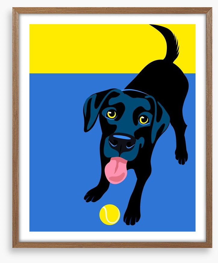 Go fetch