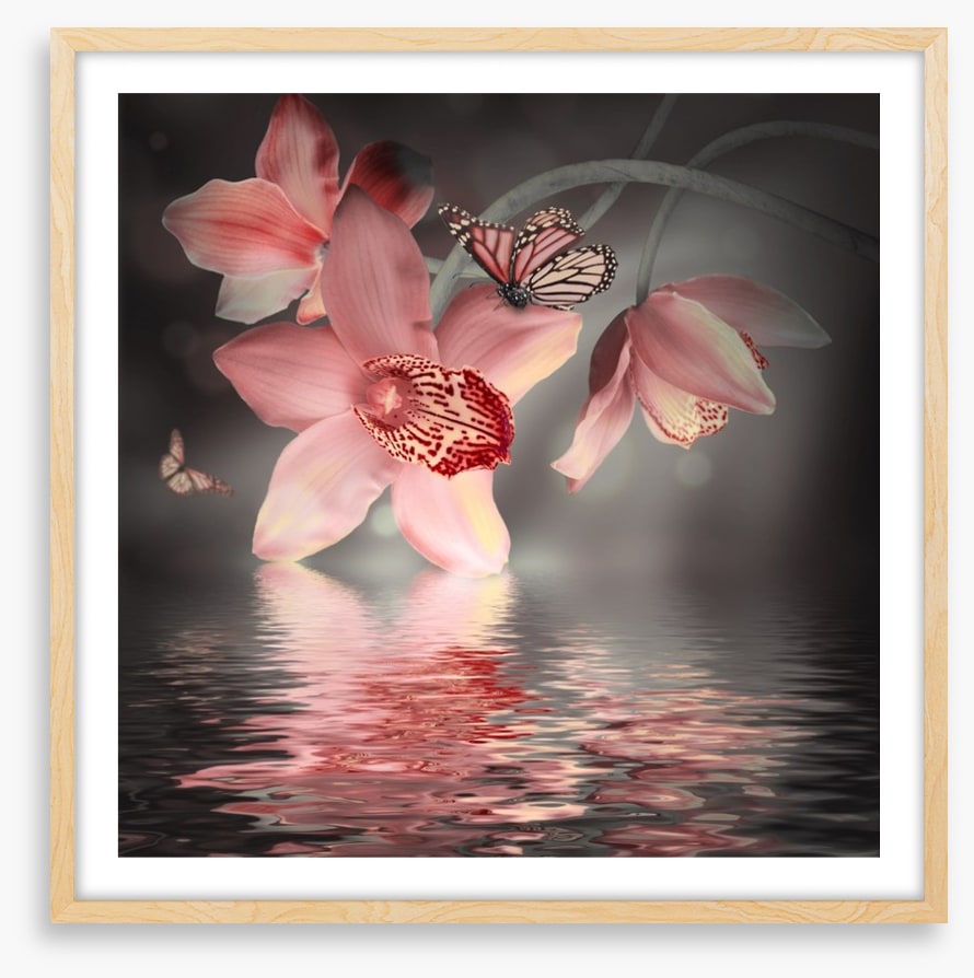 Orchid and butterfly reflections
