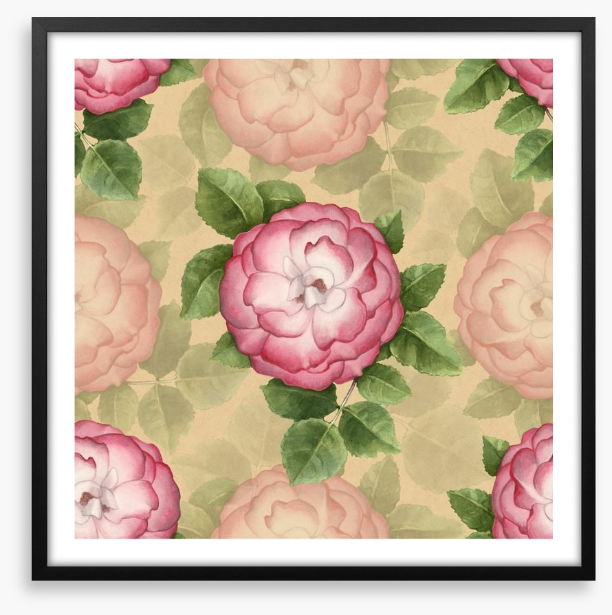 Vintage dog-rose