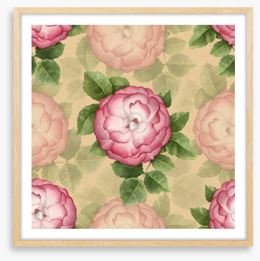 Vintage dog-rose