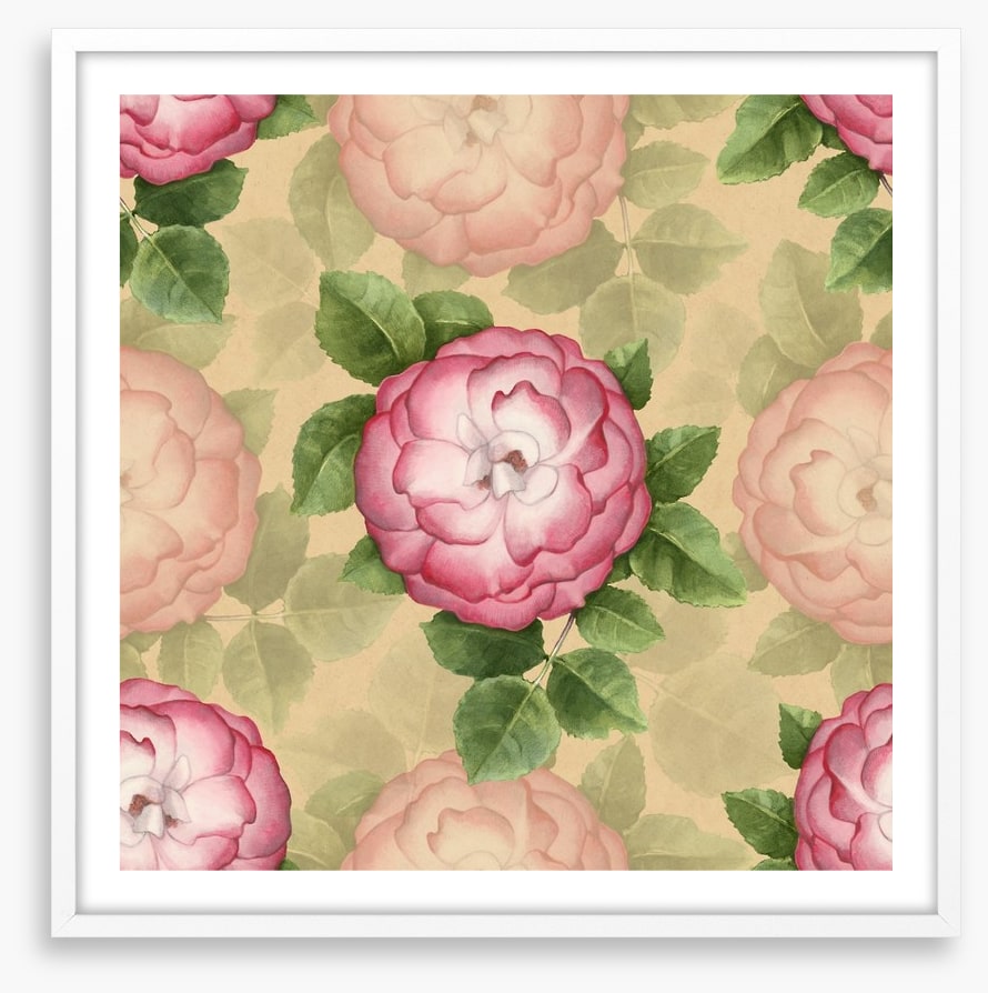 Vintage dog-rose
