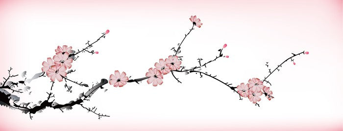 Pink blossom branch