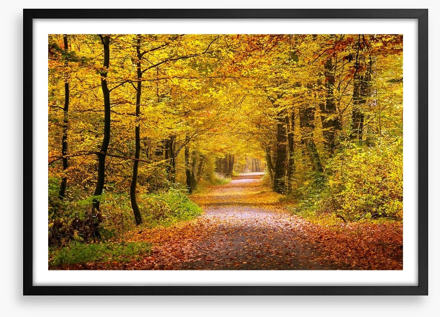 Golden forest