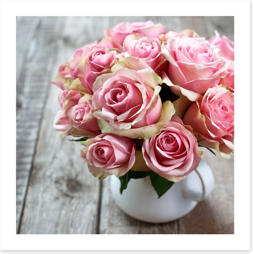 Roses of yesteryear