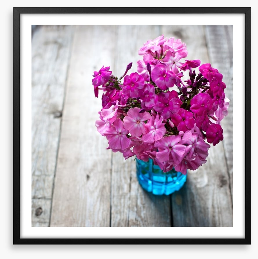 Pink flowers