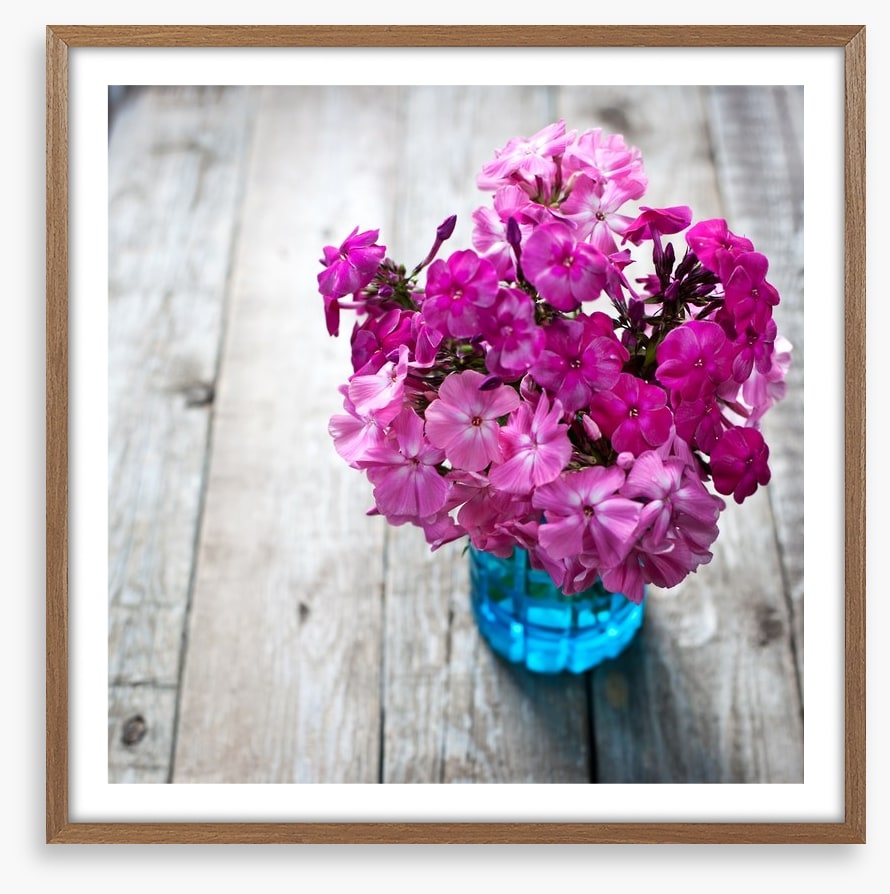 Pink flowers
