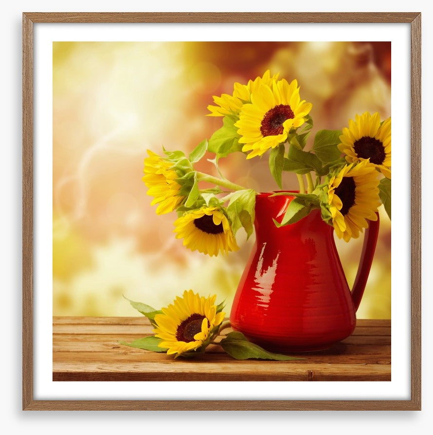 Red jug sunflowers