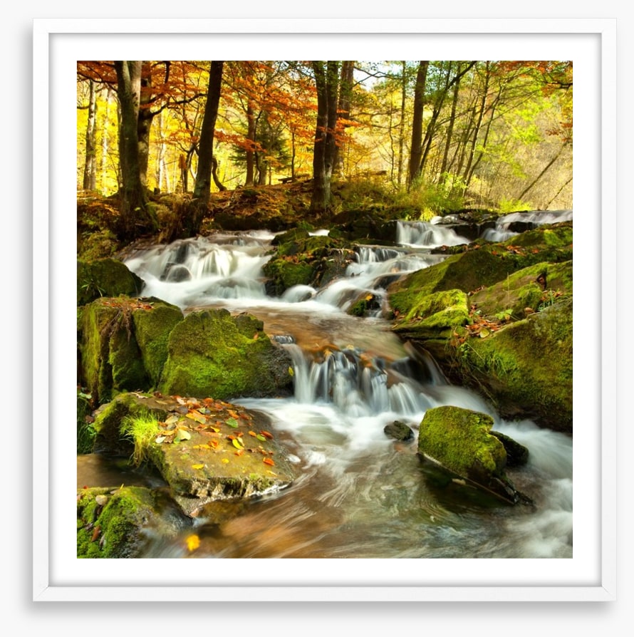 Autumn flows
