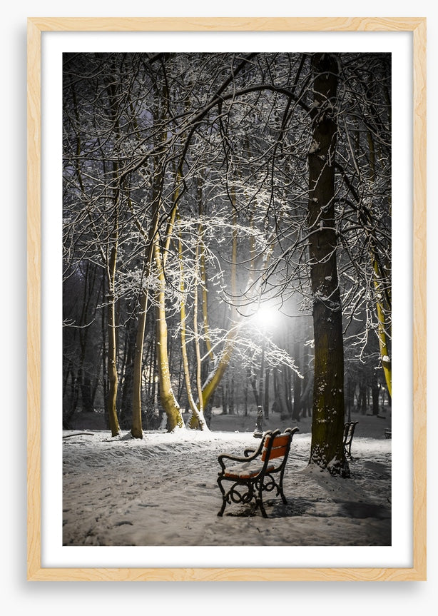 Alone in the midnight snow