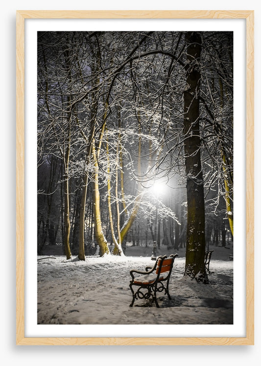 Alone in the midnight snow