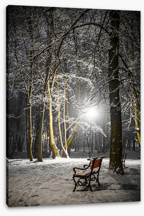 Alone in the midnight snow