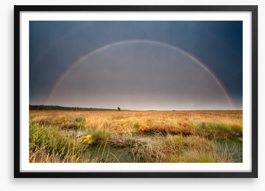 Rainbows