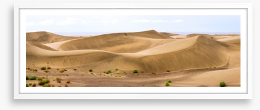 Desert