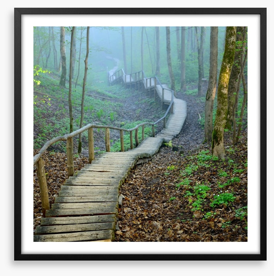The forest stairway