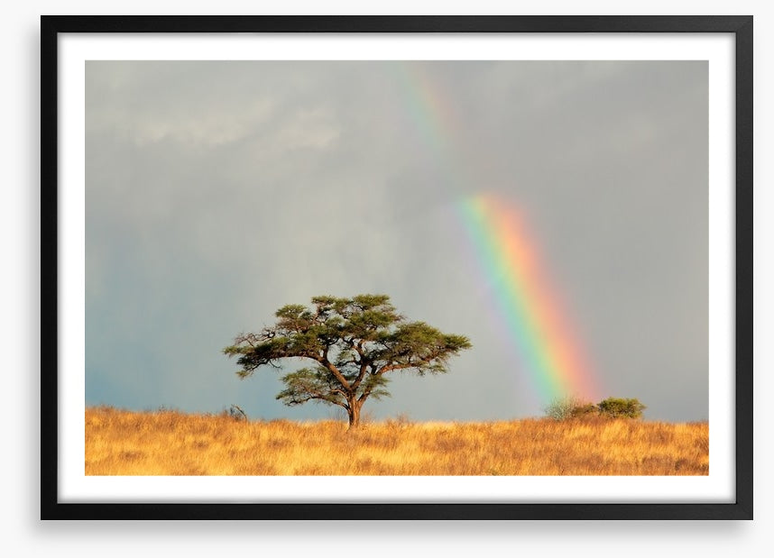 Rainbows