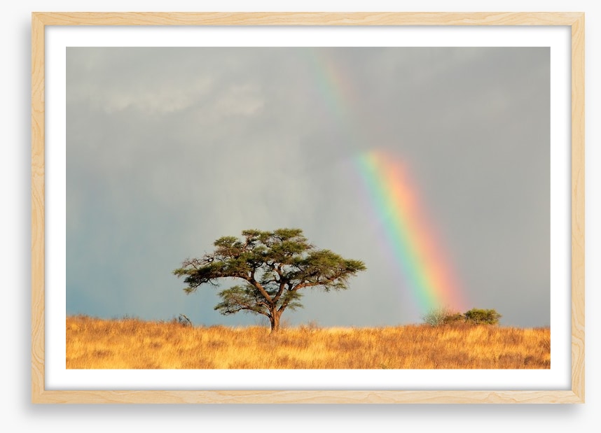 Rainbows