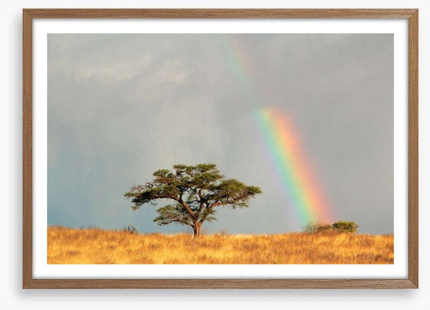 Rainbows