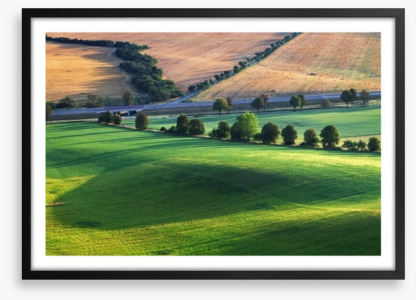 Meadows