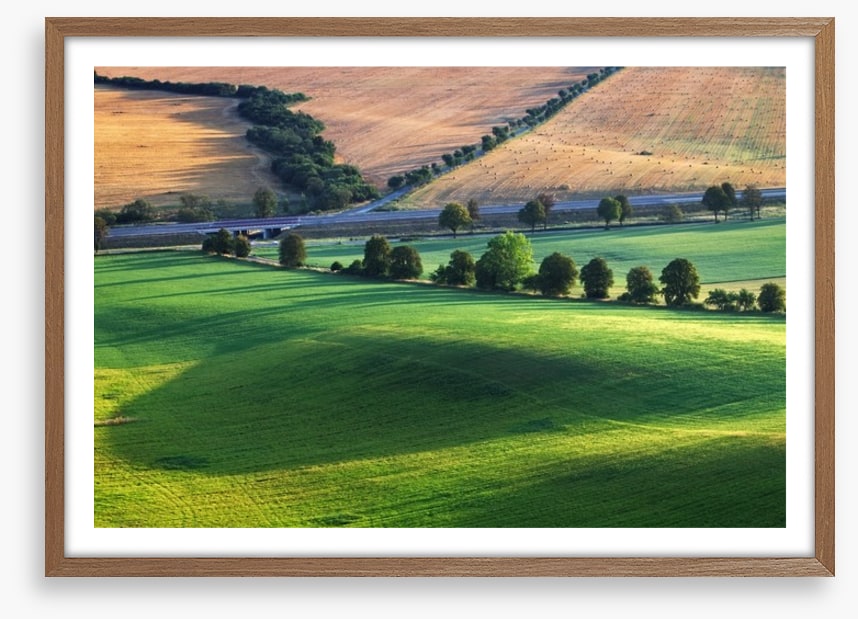 Meadows