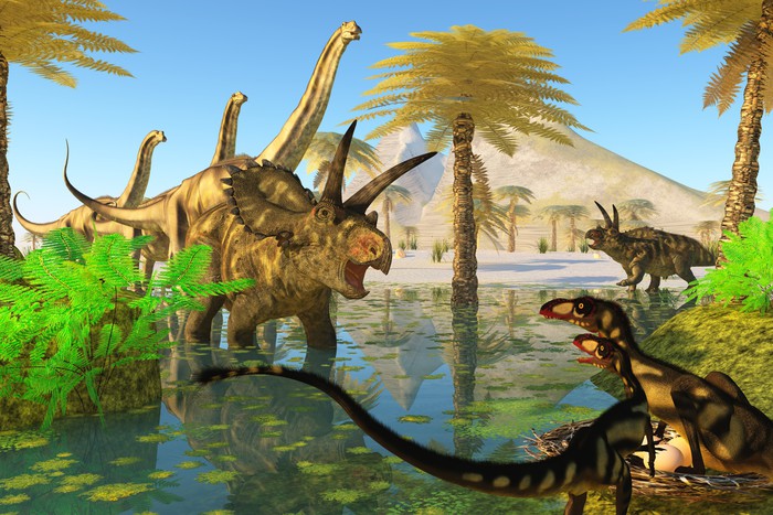 Meeting at the marsh