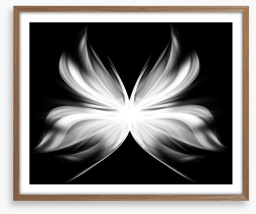 Wings of transition