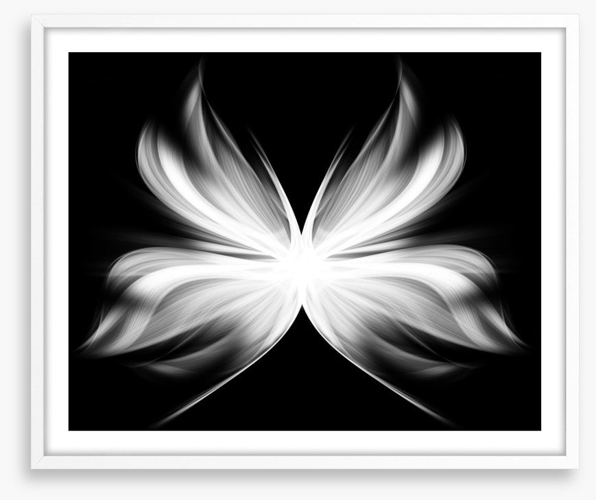 Wings of transition
