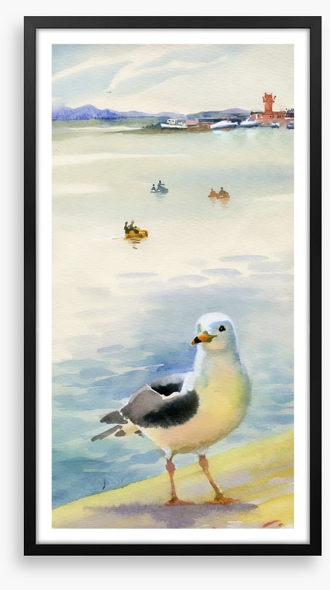 The inquisitive seagull