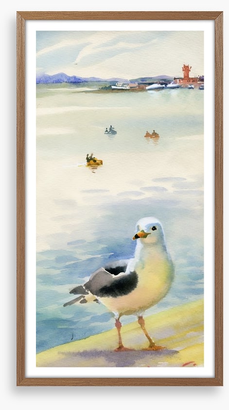 The inquisitive seagull